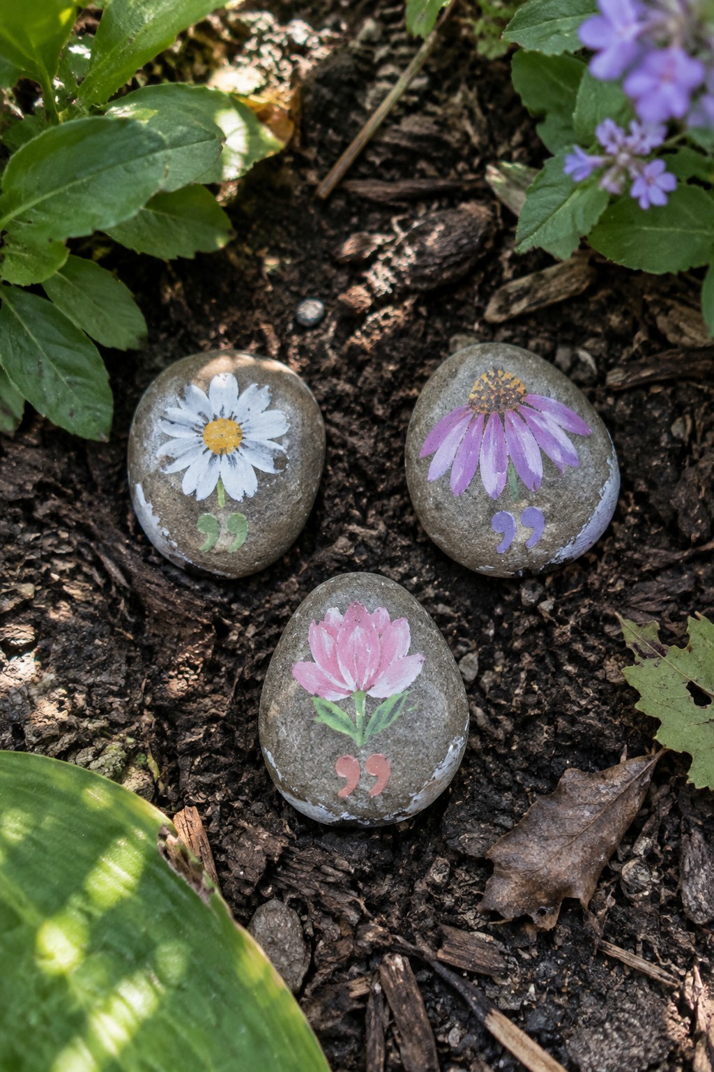 Three painted rocks with flowers and quotation marks on garden soil among plants