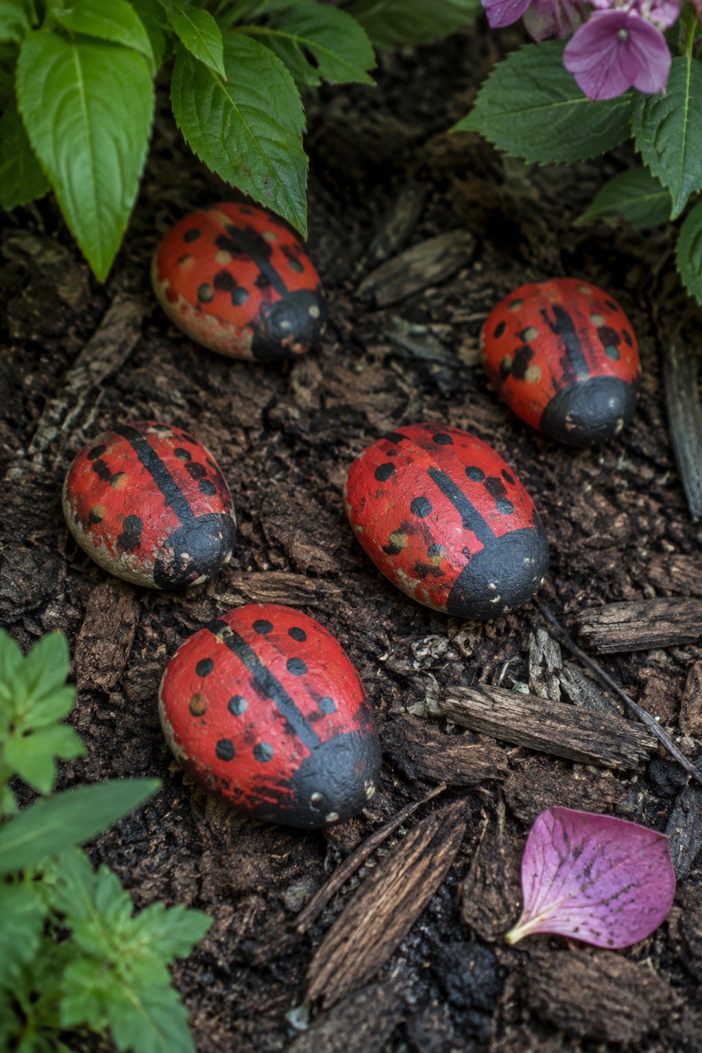 Five red ladybug-painted rocks on dark soil amid green leaves and purple flowers.