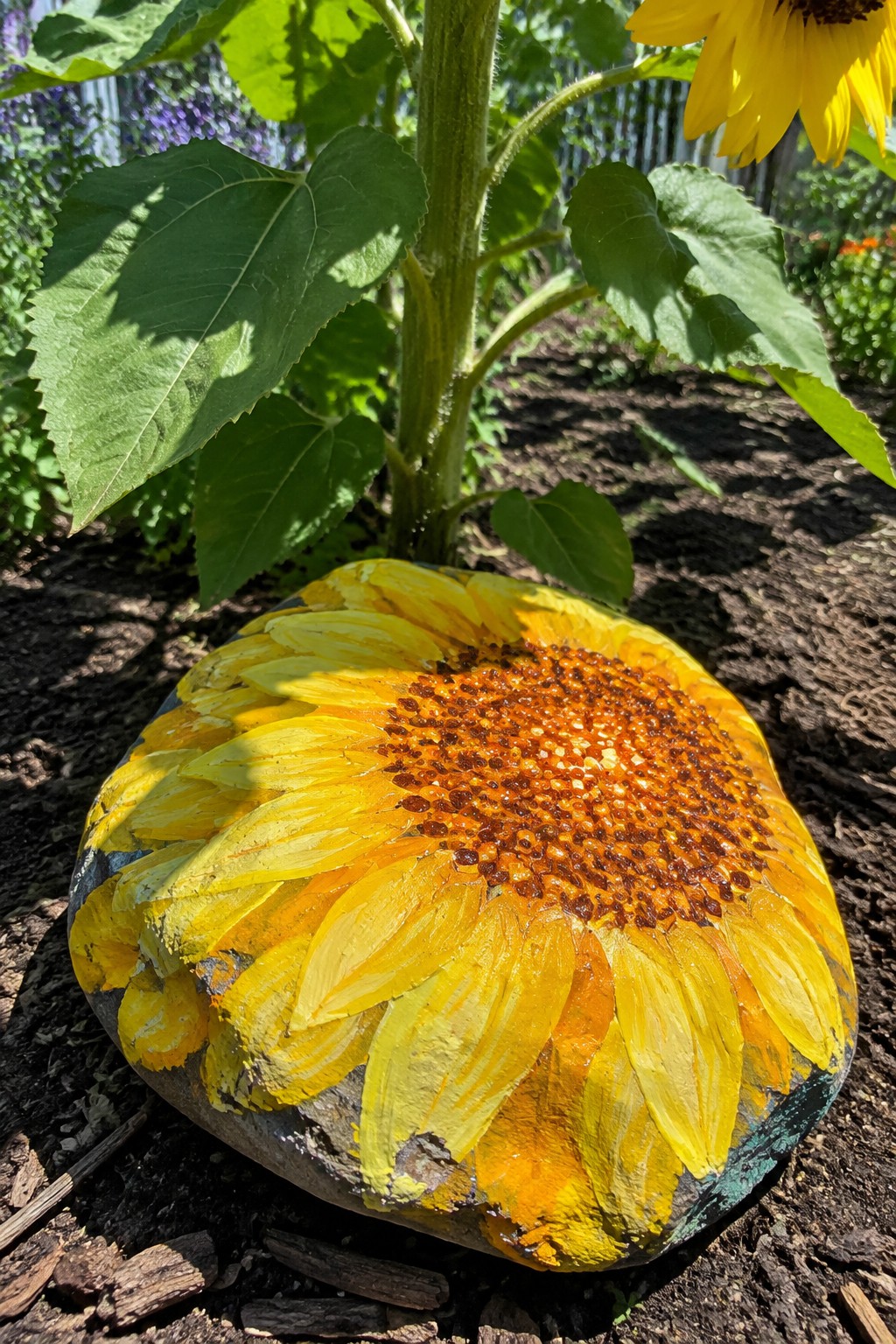 Sunflower painted on rock at base of real sunflower plant in garden