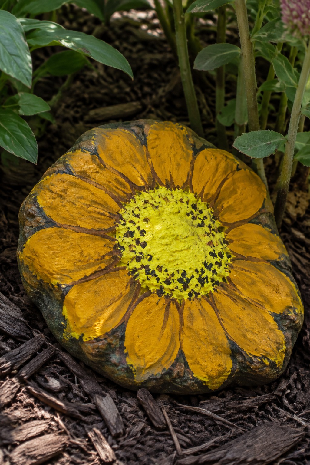 Painted yellow sunflower rock on mulch amid green garden plants