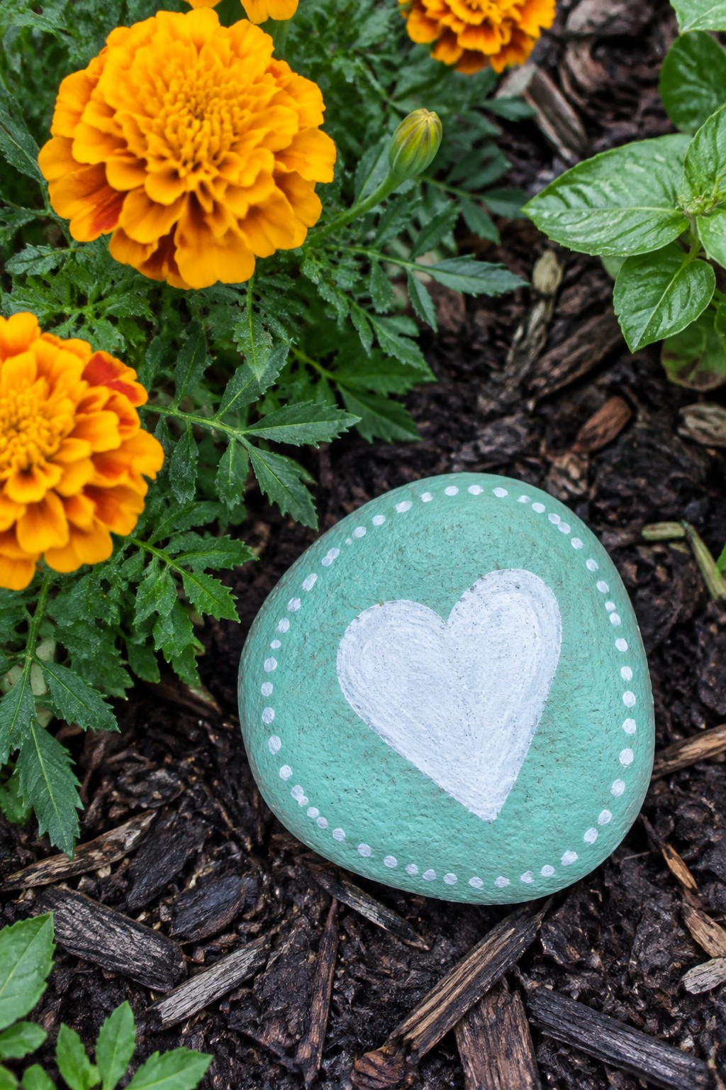 Turquoise painted rock with white heart and dotted border among orange marigolds