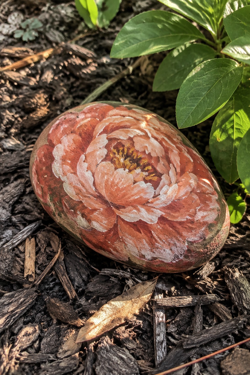 Painted rock with blooming red and white flower on dark garden mulch