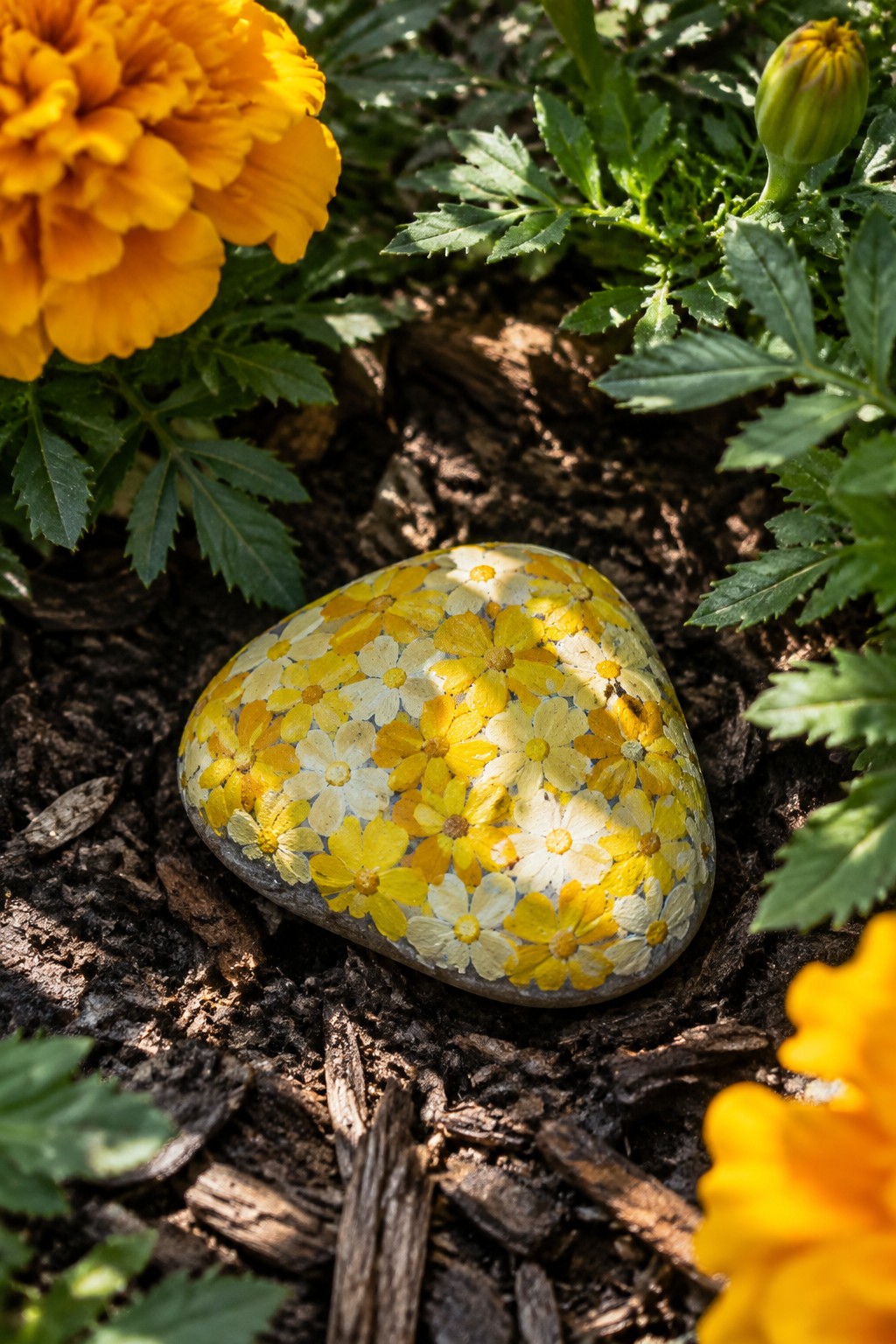 Painted rock with yellow and white flowers on garden soil near marigolds