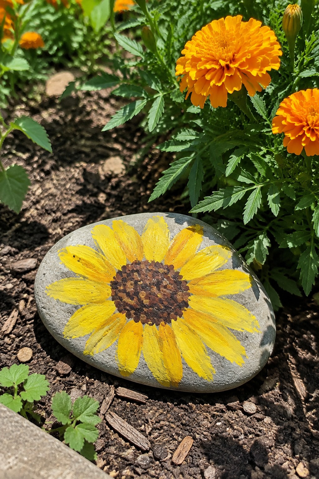 Gray stone with yellow sunflower painting on garden soil near orange marigolds.