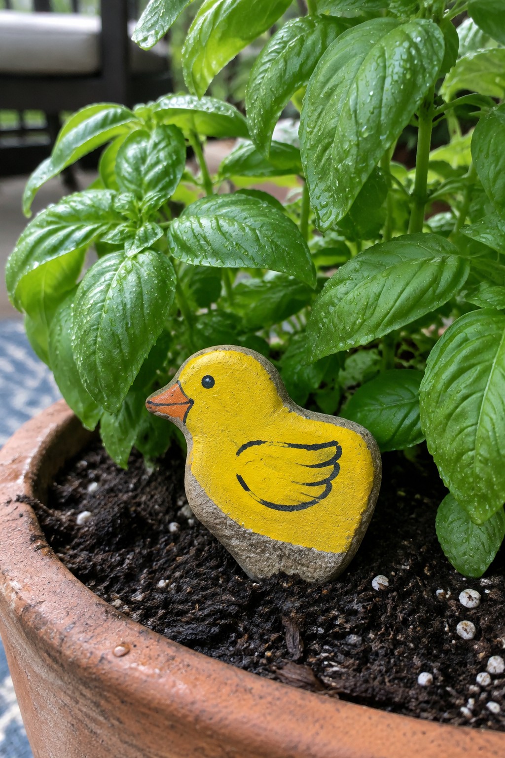 A yellow painted duck rock sits in the soil of a terracotta pot surrounded by green basil plants.