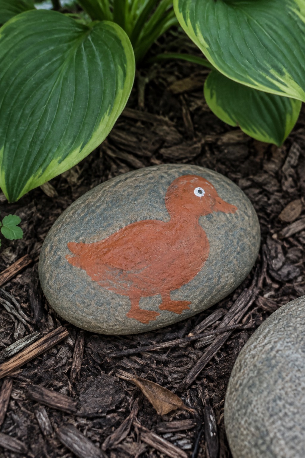 Brown duck painted on gray stone amid dark mulch and green leaves