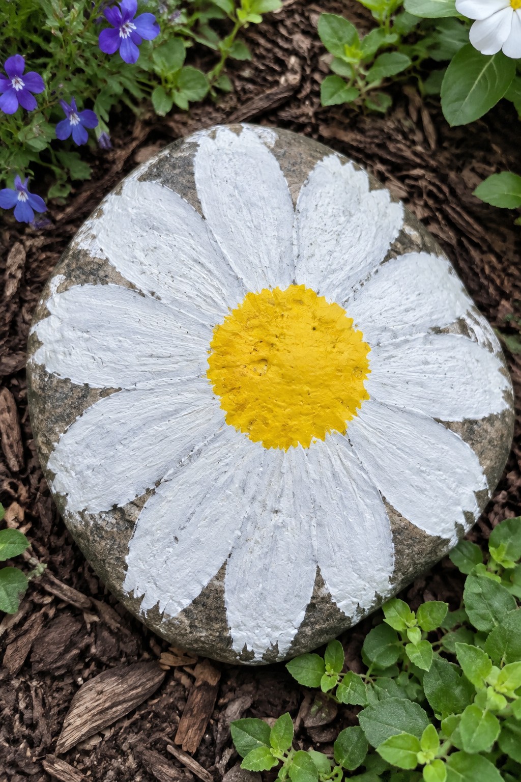 Painted stone with white daisy petals and yellow center on garden soil