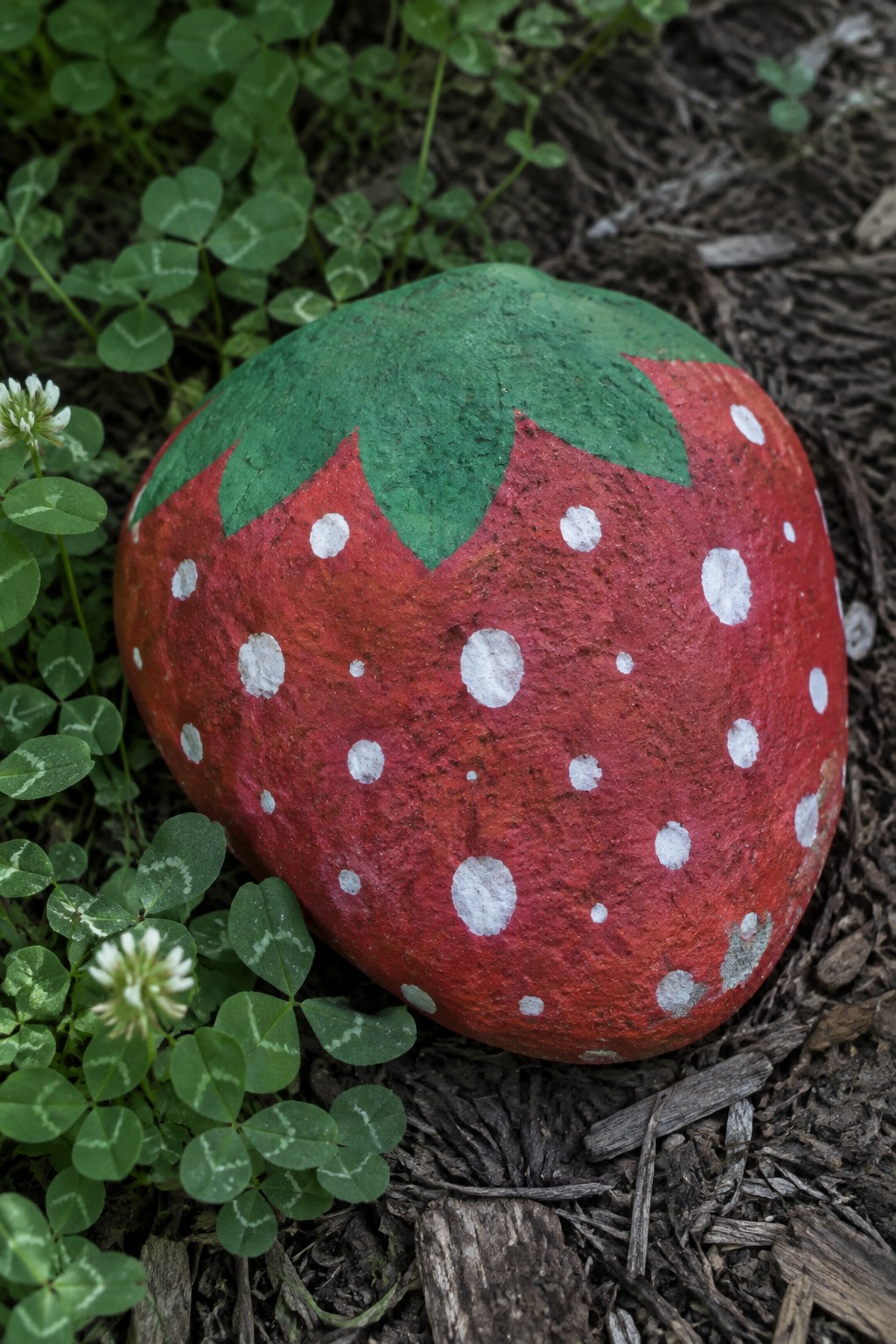 Painted red strawberry rock with white dots and green top on mulch near clover