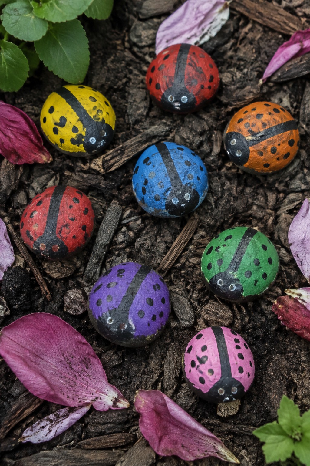 Colorful painted ladybug rocks on soil amid purple petals and leaves.