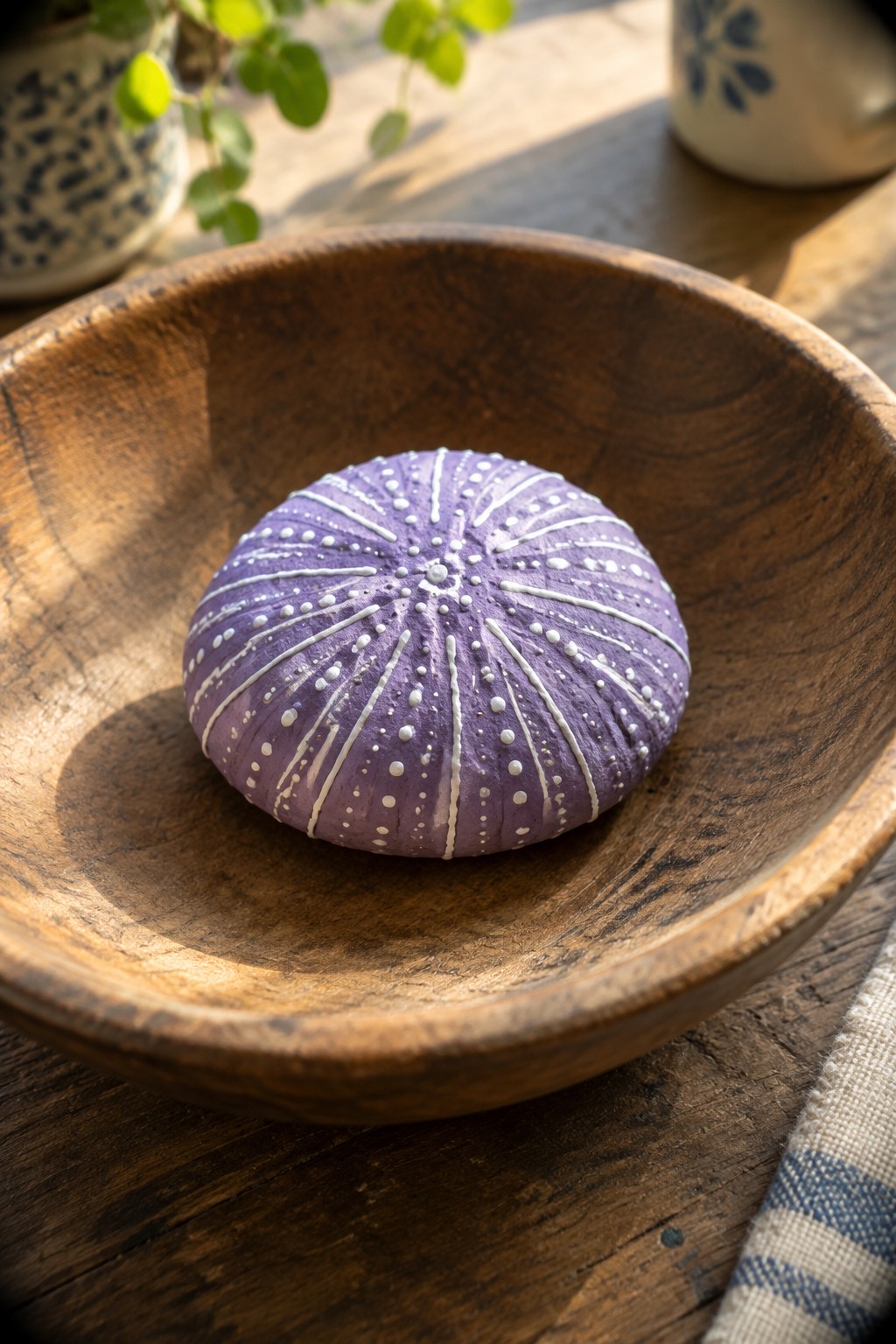 Purple sea urchin with white patterns in rustic wooden bowl