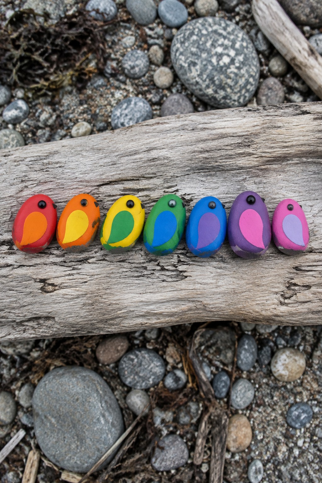 Row of seven rainbow-painted bird pebbles on weathered driftwood by beach