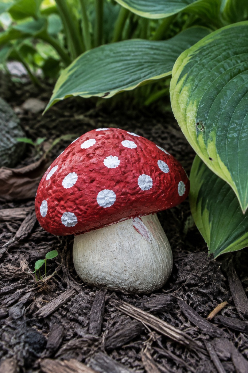 Red spotted mushroom decoration in mulch beside large green leaves