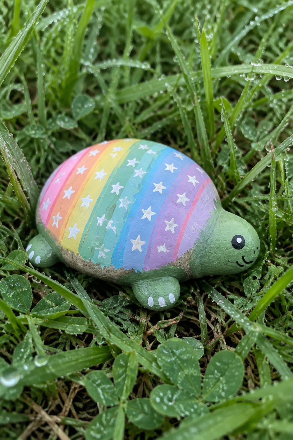 Rainbow painted turtle rock with stars on dewy green grass