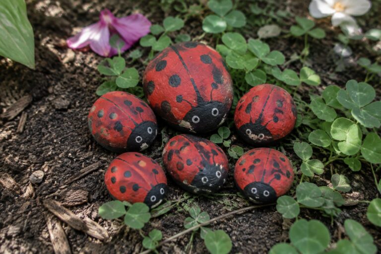 20 Small Rock Painting Ideas for Miniature Pebble Designs Five red painted ladybug rocks amid green plants, soil, and purple flowers