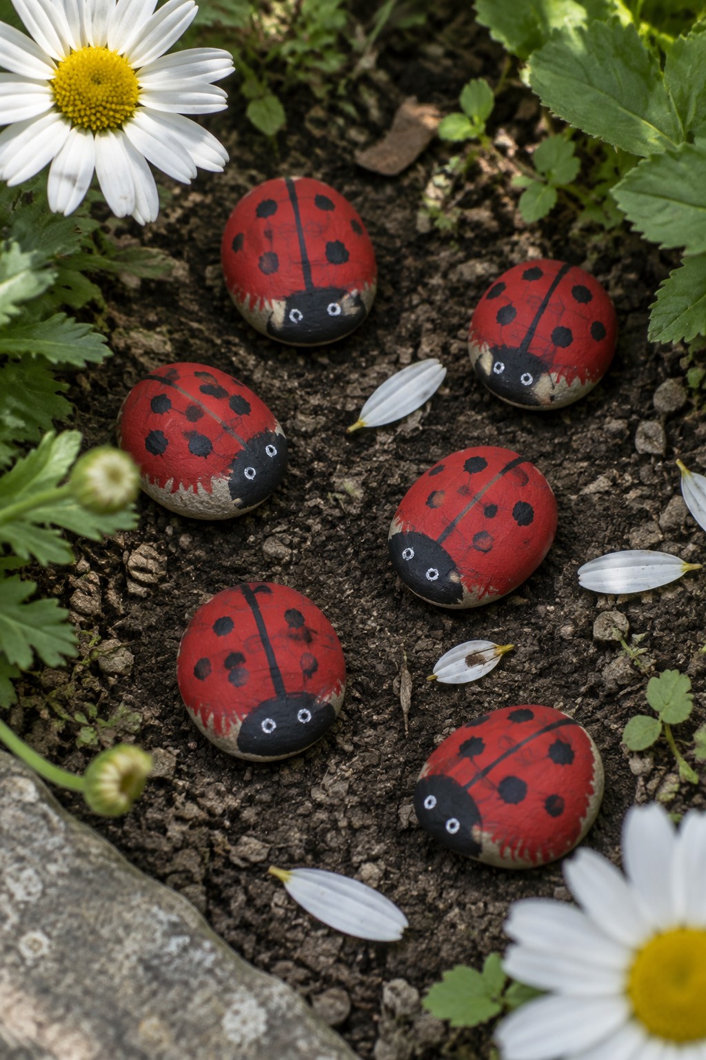 Painted red ladybug rocks scattered among white daisies on soil