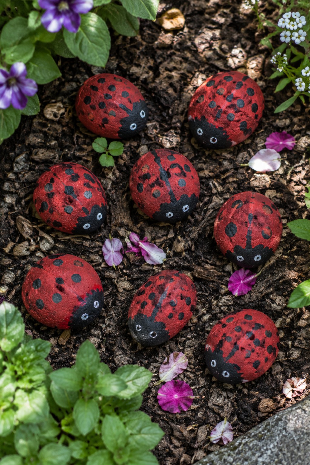 Red ladybug painted rocks scattered on garden soil amid purple flowers and green plants.