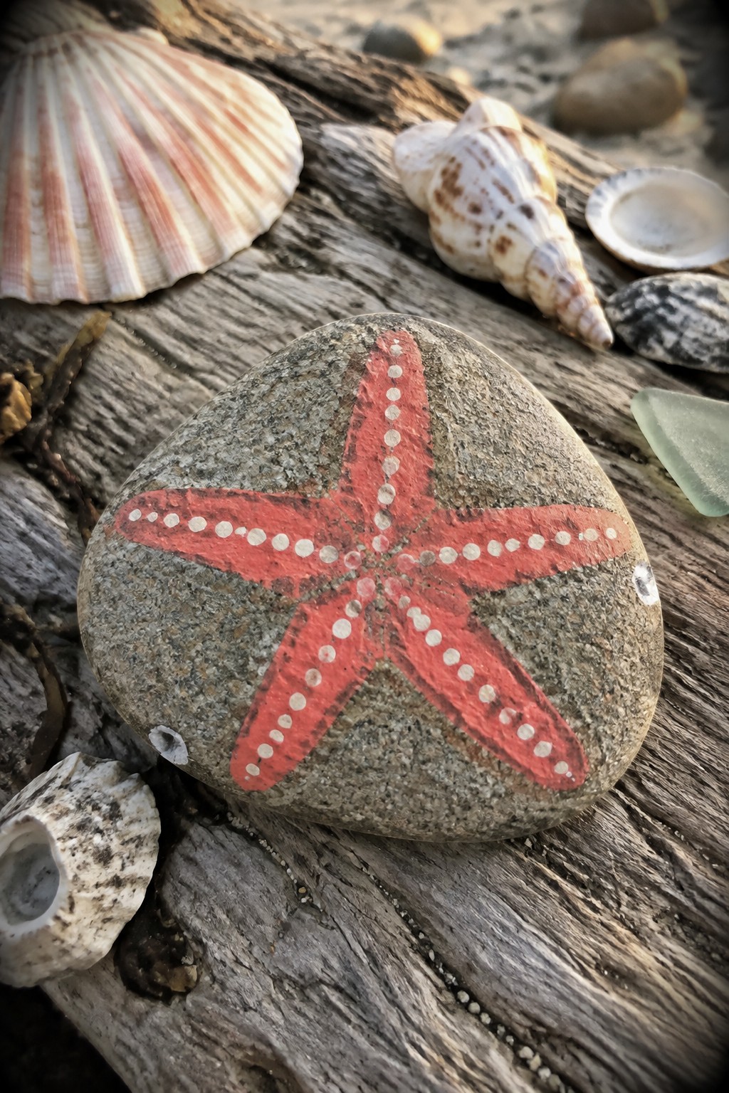 Red starfish painted on gray rock with white dots amid seashells on driftwood